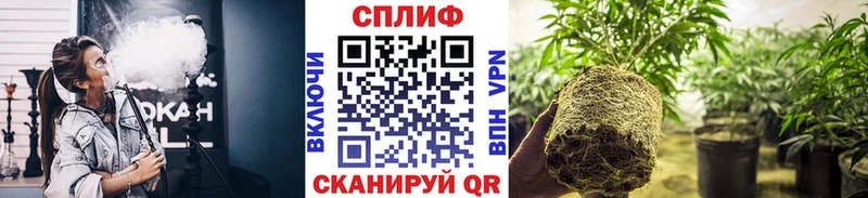 Магазин наркотиков Пушкино Марихуана МЕФ Альфа ПВП МЕТАМФЕТАМИН КОКАИН ГАШ