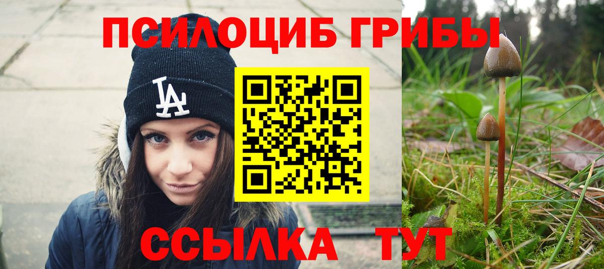 Пушкино  Псилоцибиновые грибы мухоморы  Вход с VPN  Псилоцибиновые грибы Cubensis 
