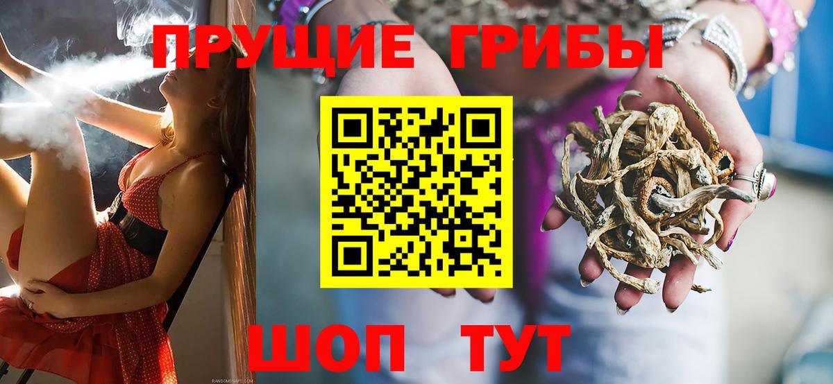Псилоцибиновые грибы прущие грибы Пушкино